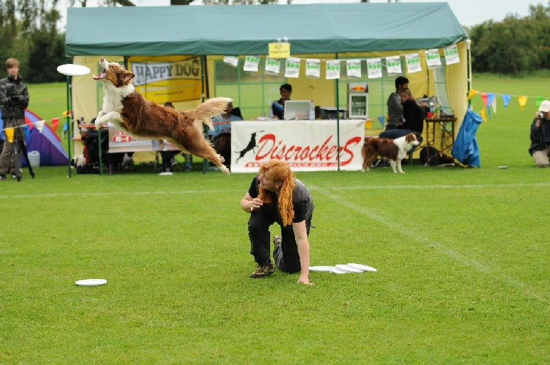 Image 532 of 855  -  263 kB