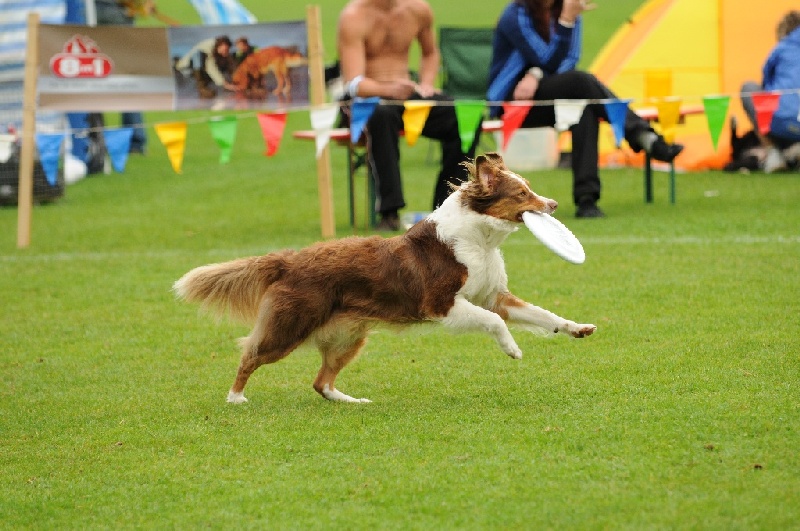 Image 533 of 855  -  237 kB