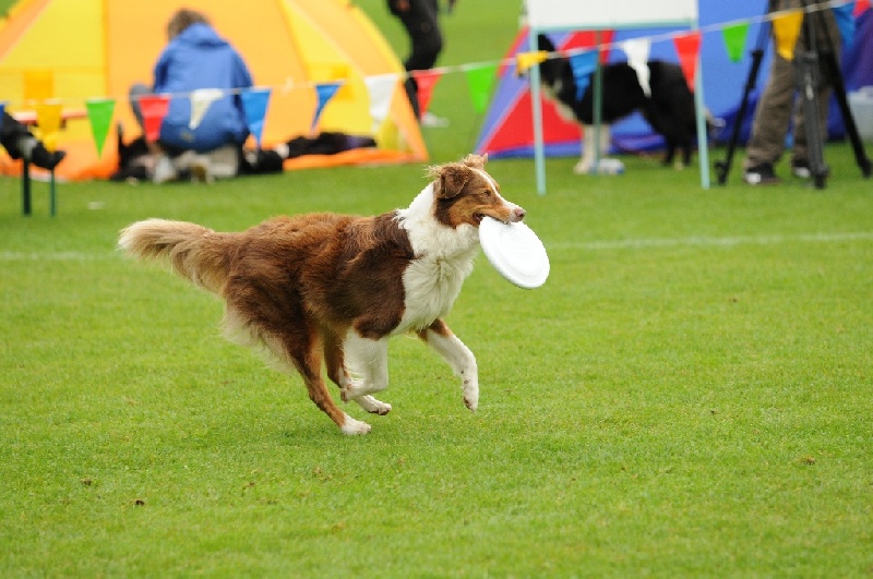 Image 534 of 855  -  229 kB