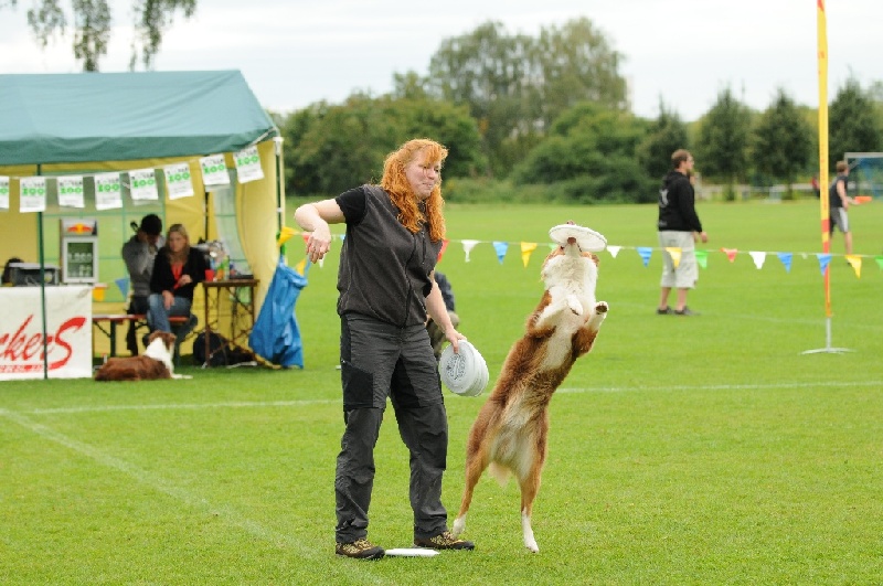 Image 535 of 855  -  235 kB