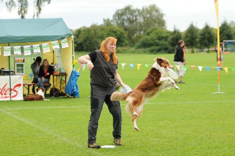 Image 536 of 855  -  238 kB