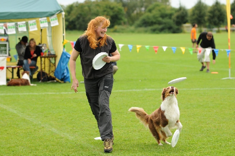 Image 537 of 855  -  233 kB