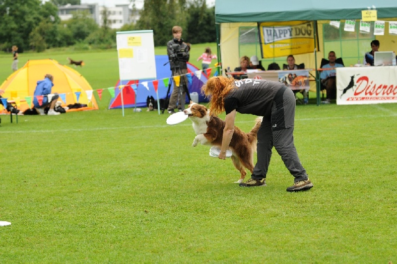 Image 538 of 855  -  266 kB