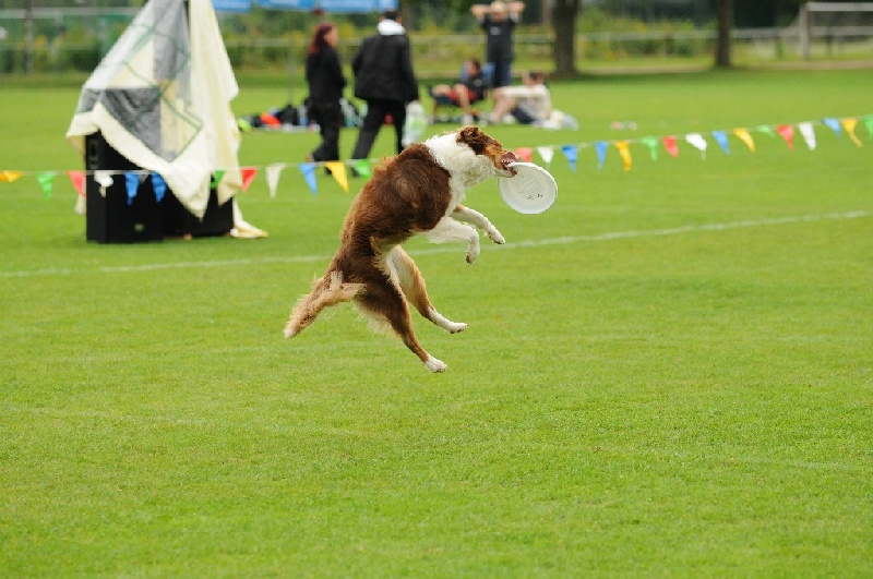 Image 539 of 855  -  229 kB