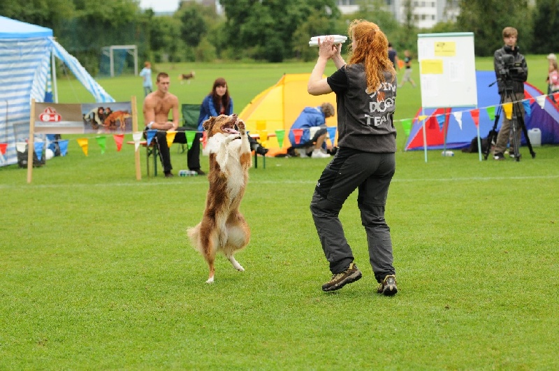 Image 540 of 855  -  268 kB