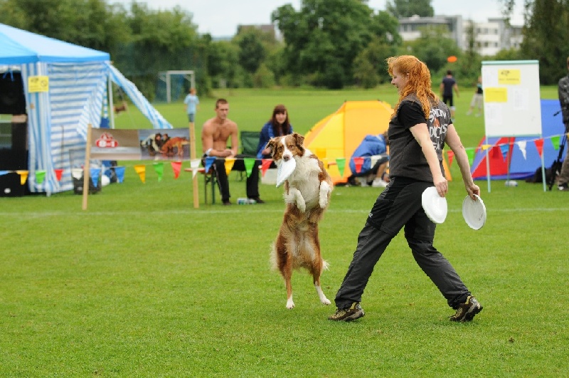 Image 541 of 855  -  254 kB