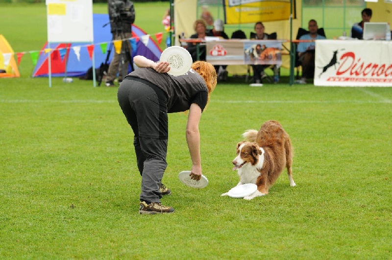 Image 542 of 855  -  255 kB