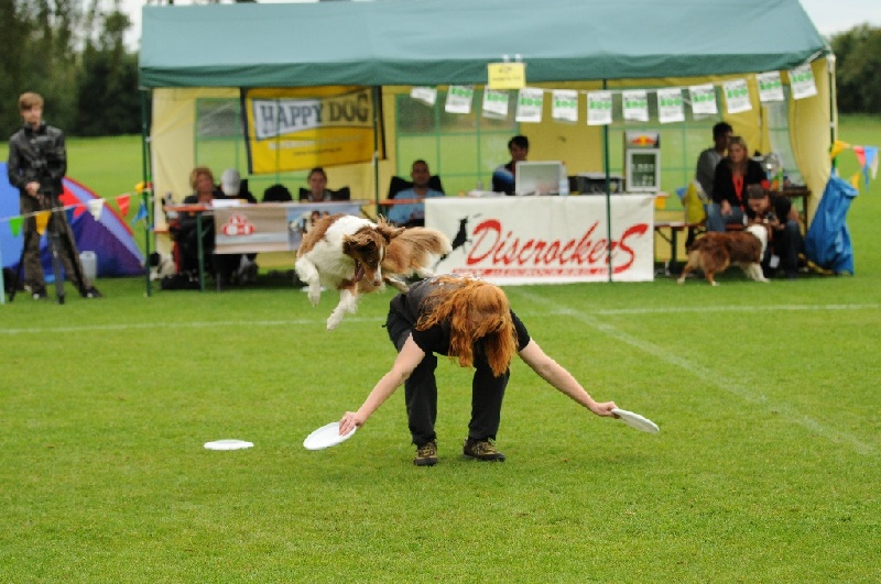 Image 543 of 855  -  245 kB