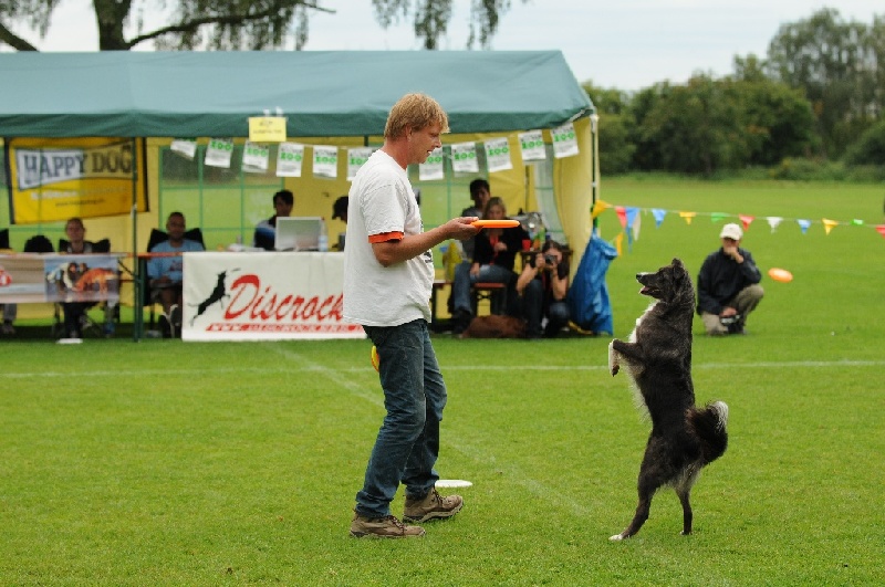 Image 544 of 855  -  240 kB