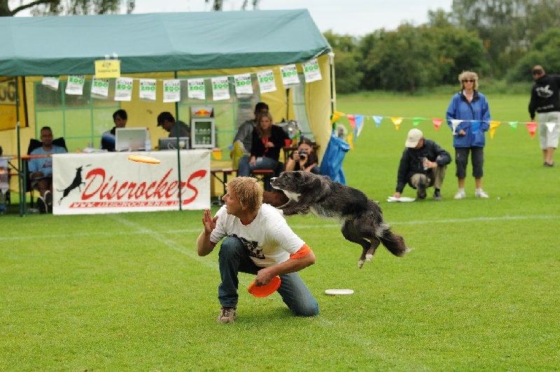 Image 545 of 855  -  254 kB