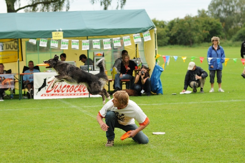 Image 547 of 855  -  255 kB