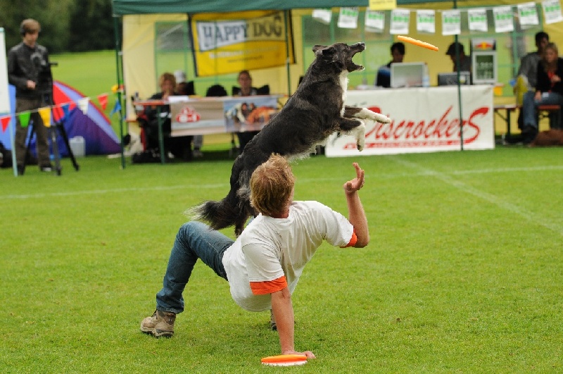 Image 549 of 855  -  248 kB