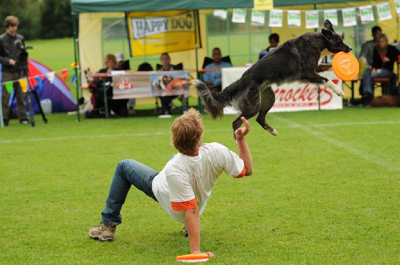 Image 550 of 855  -  250 kB