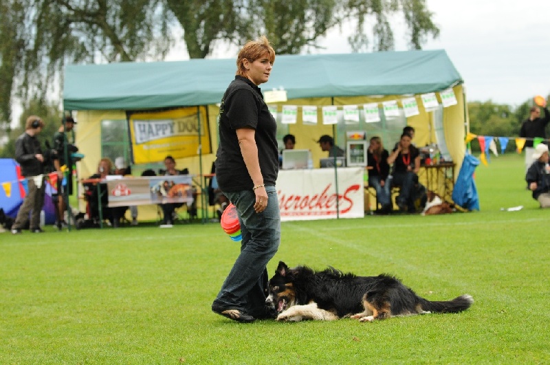 Image 551 of 855  -  241 kB