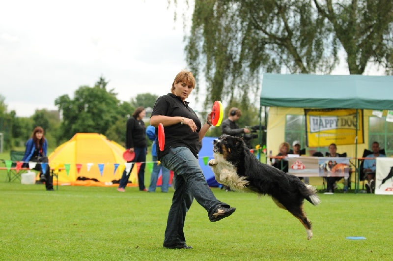 Image 552 of 855  -  229 kB