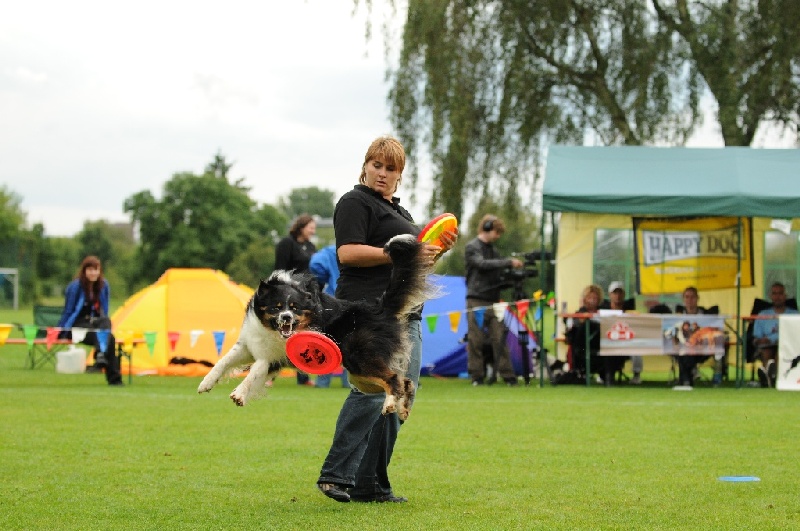 Image 553 of 855  -  225 kB