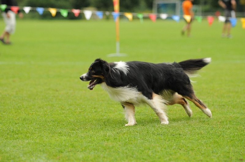 Image 555 of 855  -  206 kB