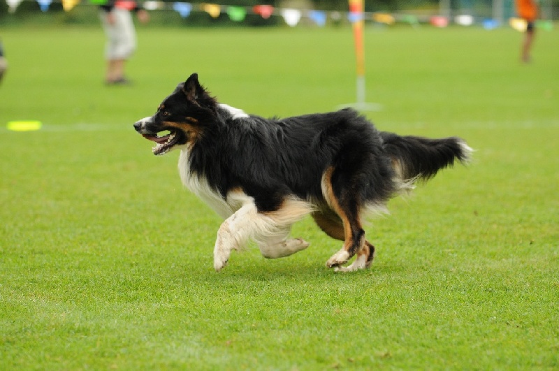 Image 556 of 855  -  205 kB