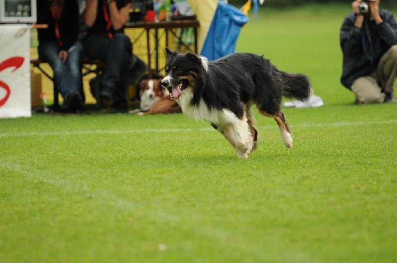 Image 557 of 855  -  200 kB