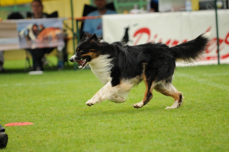 Image 558 of 855  -  205 kB