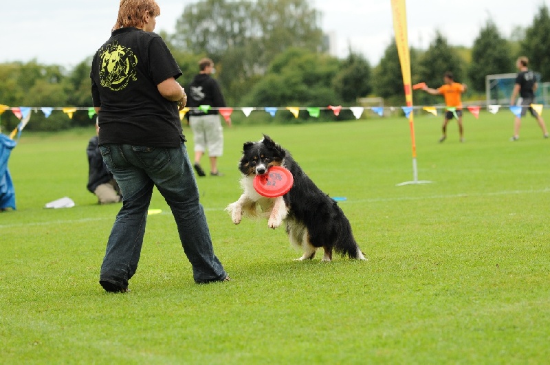 Image 559 of 855  -  224 kB