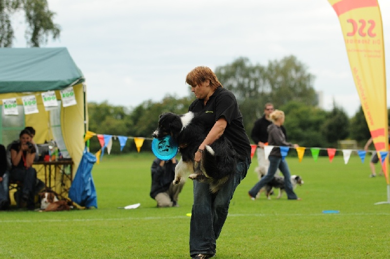 Image 560 of 855  -  196 kB