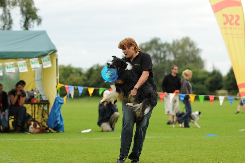 Image 561 of 855  -  191 kB