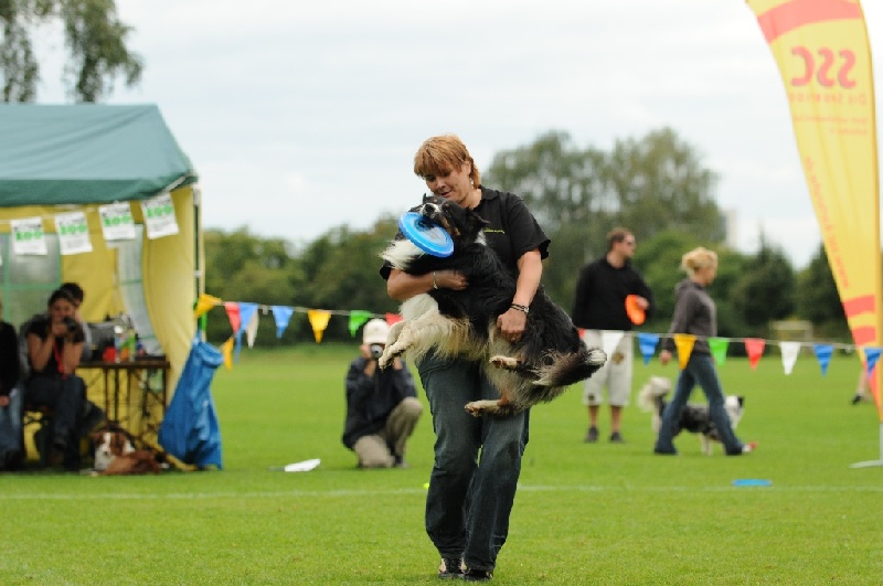 Image 562 of 855  -  192 kB