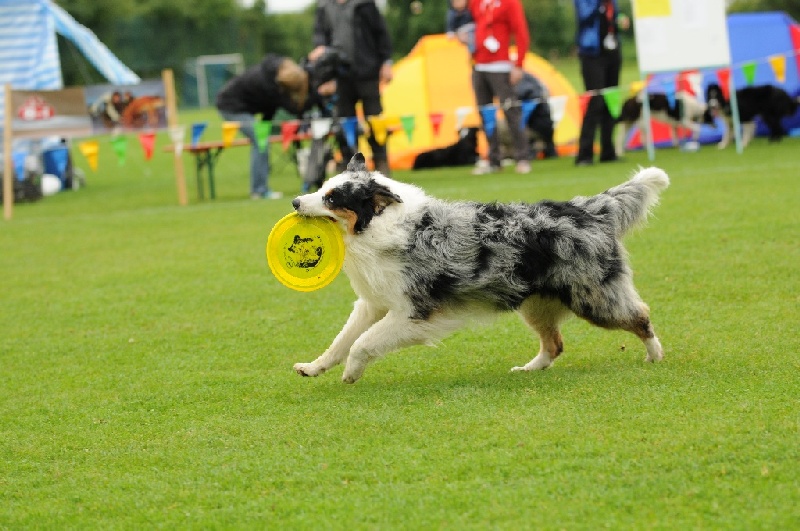 Image 565 of 855  -  231 kB