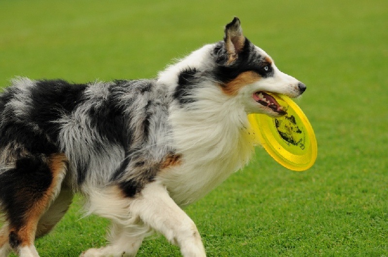 Image 566 of 855  -  217 kB