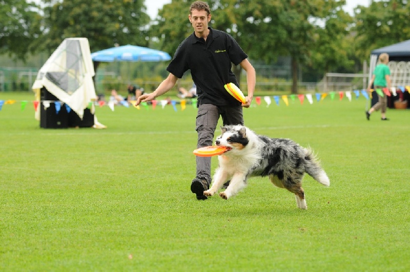 Image 568 of 855  -  227 kB