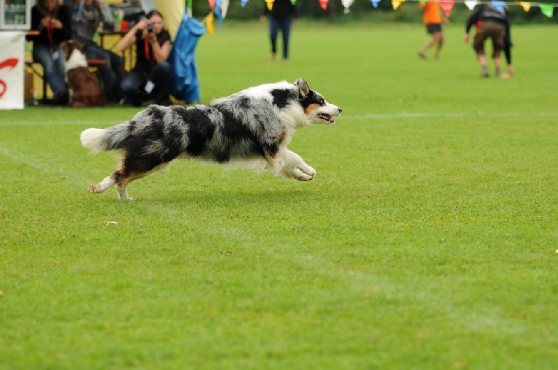 Image 569 of 855  -  207 kB