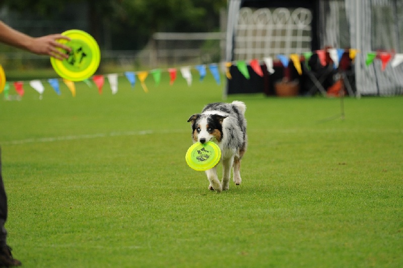 Image 570 of 855  -  195 kB