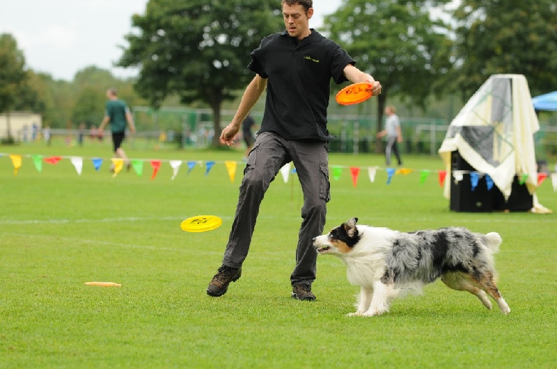 Image 571 of 855  -  223 kB