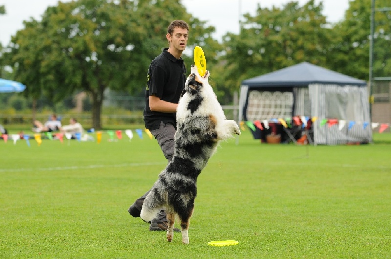 Image 572 of 855  -  221 kB