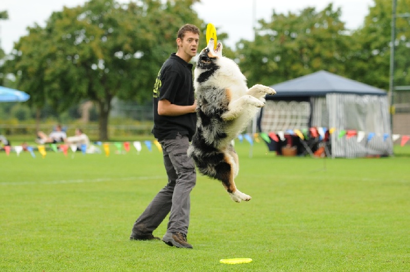 Image 573 of 855  -  211 kB