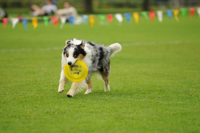 Image 574 of 855  -  194 kB