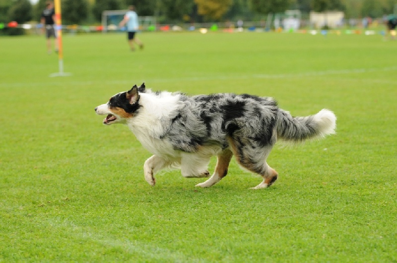 Image 575 of 855  -  209 kB