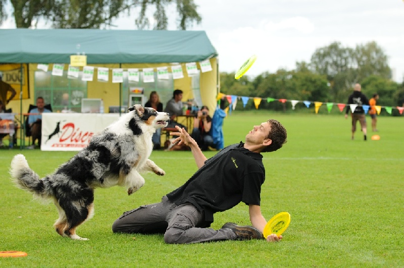 Image 576 of 855  -  233 kB