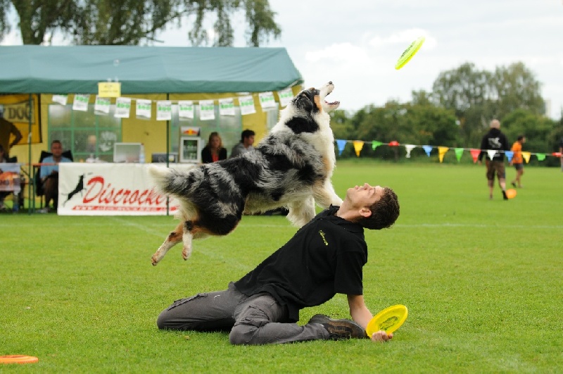 Image 577 of 855  -  229 kB