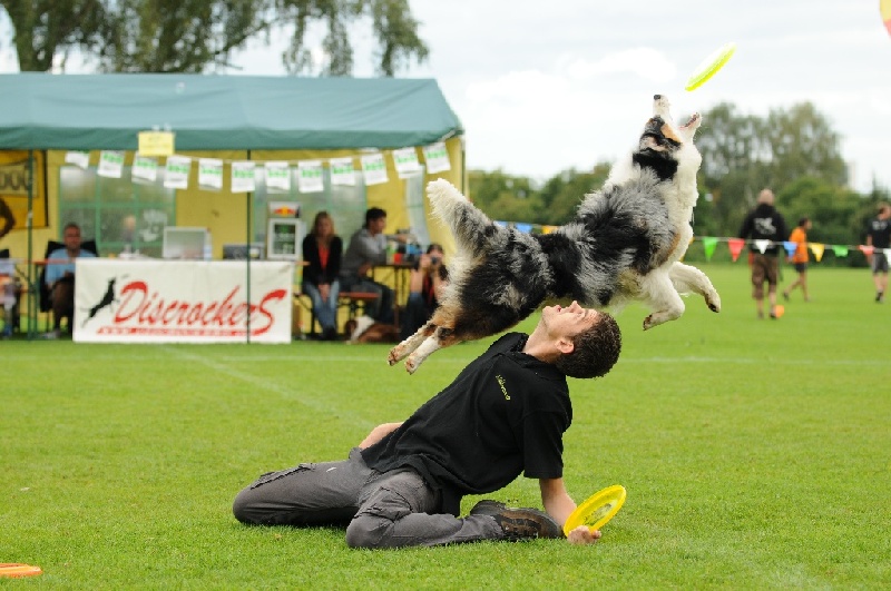 Image 578 of 855  -  228 kB