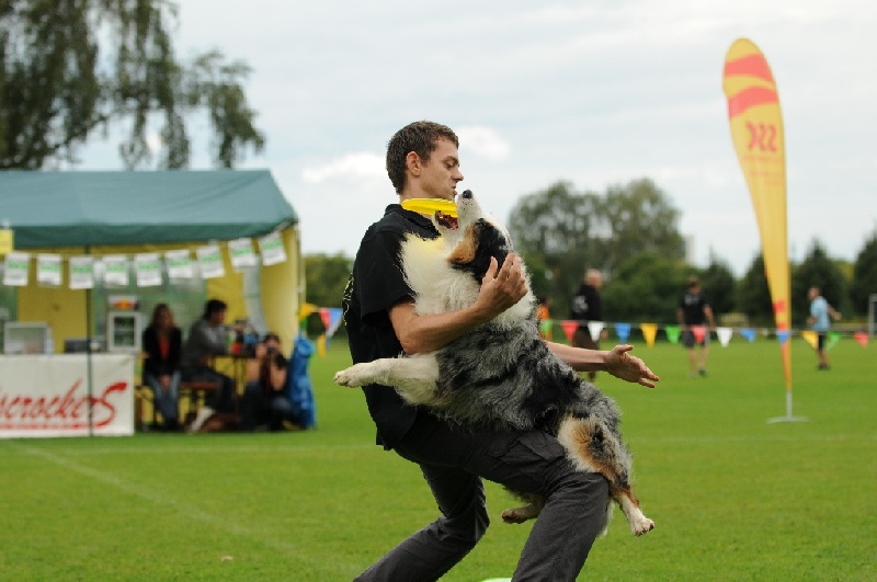 Image 579 of 855  -  186 kB