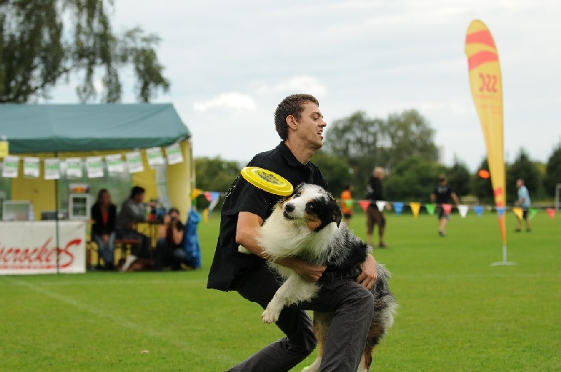 Image 580 of 855  -  185 kB