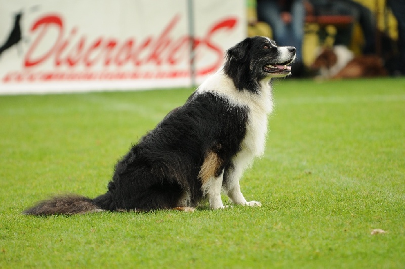 Image 581 of 855  -  203 kB