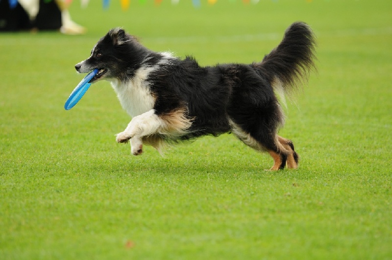 Image 582 of 855  -  192 kB