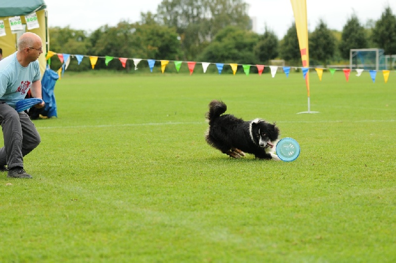 Image 583 of 855  -  217 kB