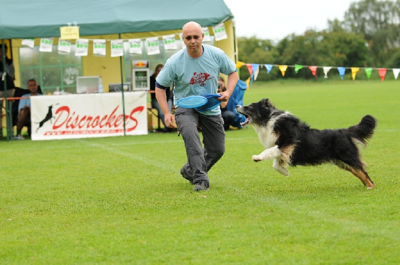 Image 584 of 855  -  232 kB