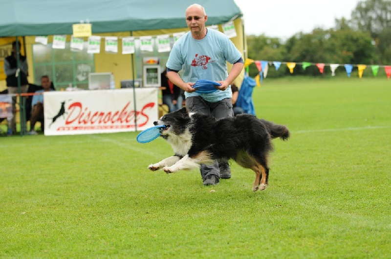 Image 585 of 855  -  226 kB