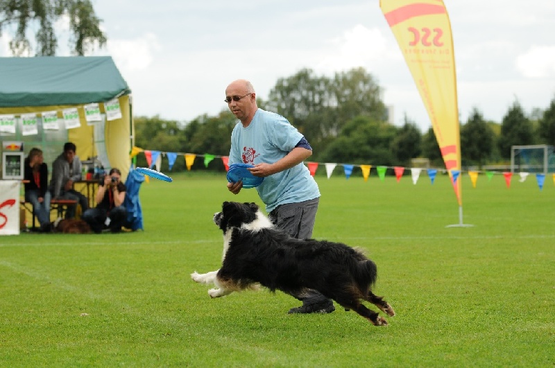 Image 586 of 855  -  215 kB