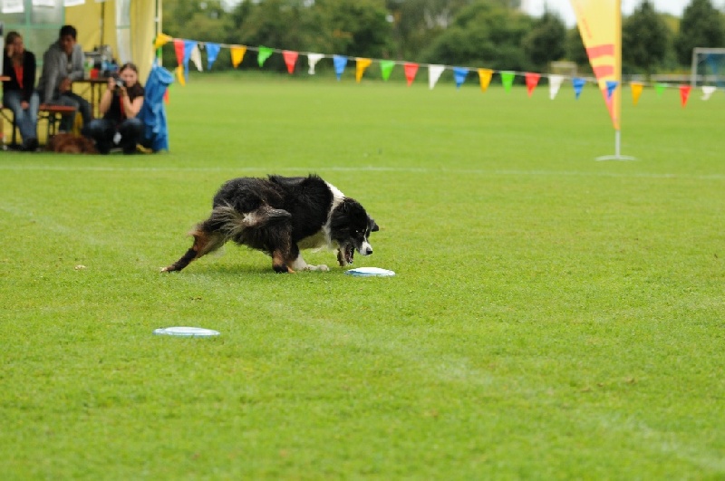 Image 587 of 855  -  209 kB